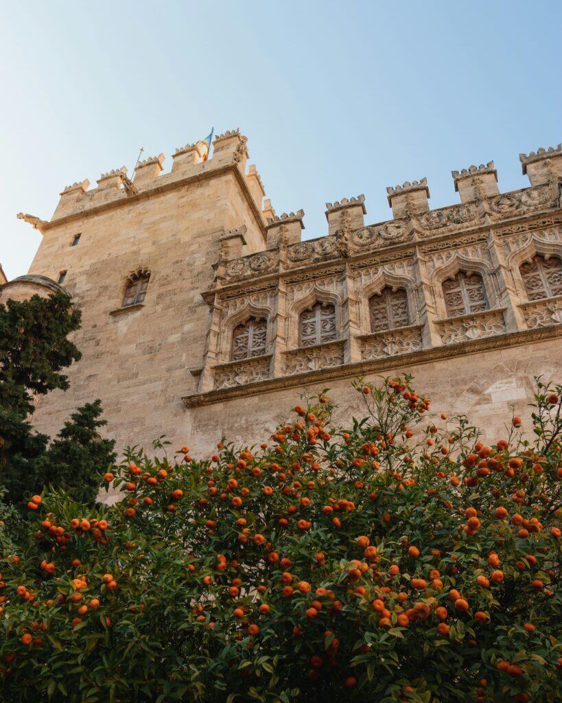 Bloemen aan een historisch gebouw in Valencia
